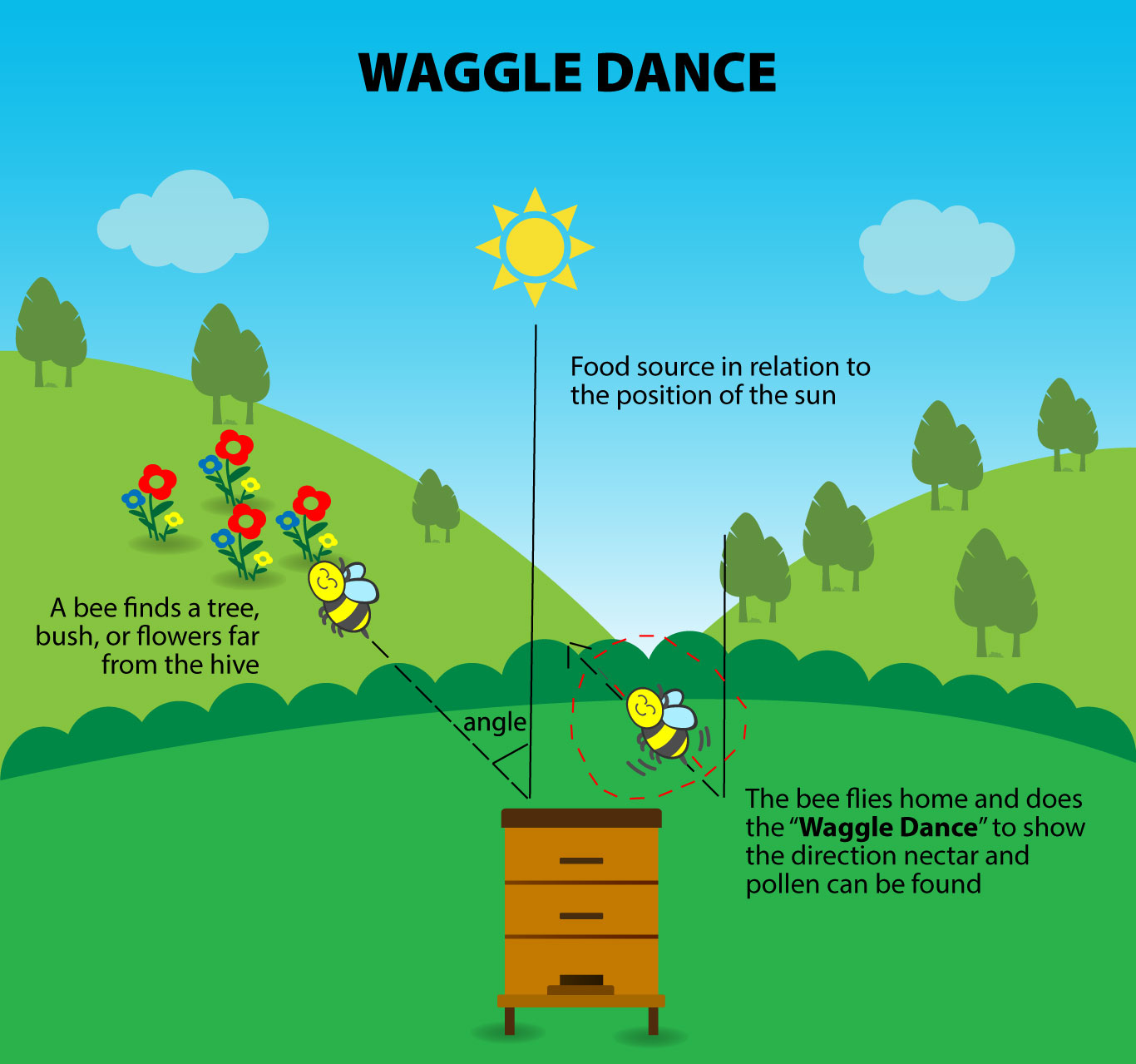 Waggle Dance image